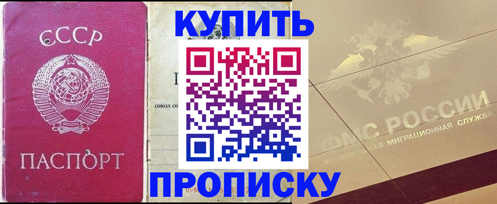 прописка для школы в Сертолово