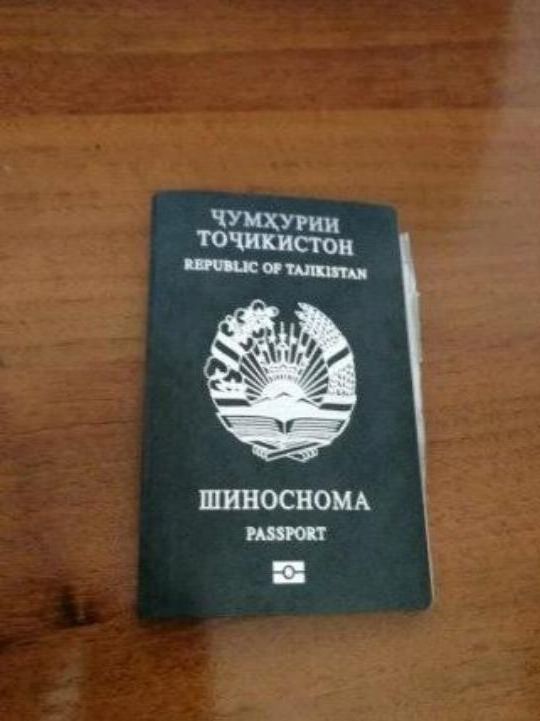 прописка в Сертолово